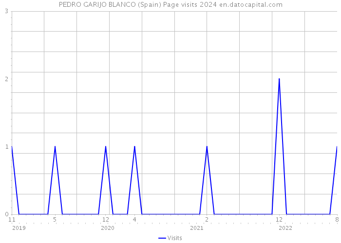PEDRO GARIJO BLANCO (Spain) Page visits 2024 