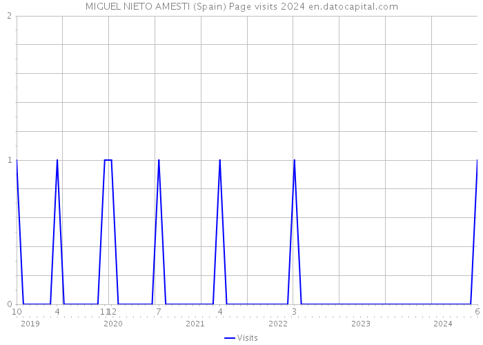 MIGUEL NIETO AMESTI (Spain) Page visits 2024 