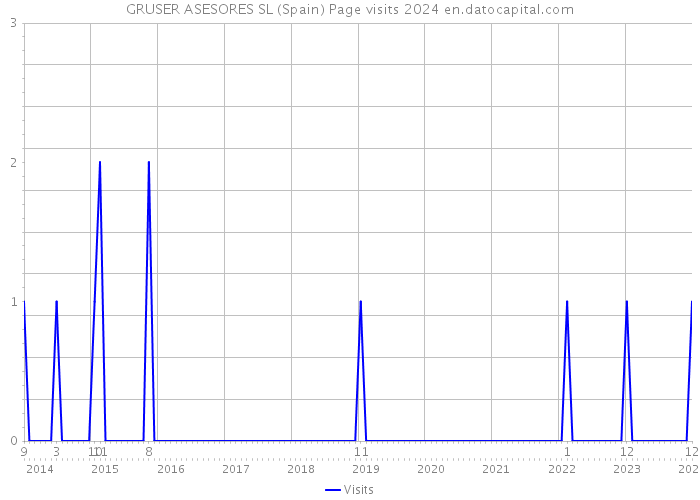 GRUSER ASESORES SL (Spain) Page visits 2024 