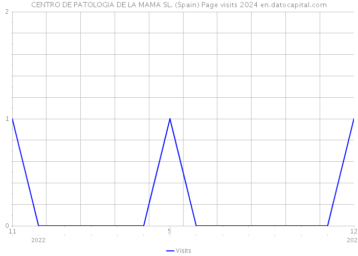 CENTRO DE PATOLOGIA DE LA MAMA SL. (Spain) Page visits 2024 