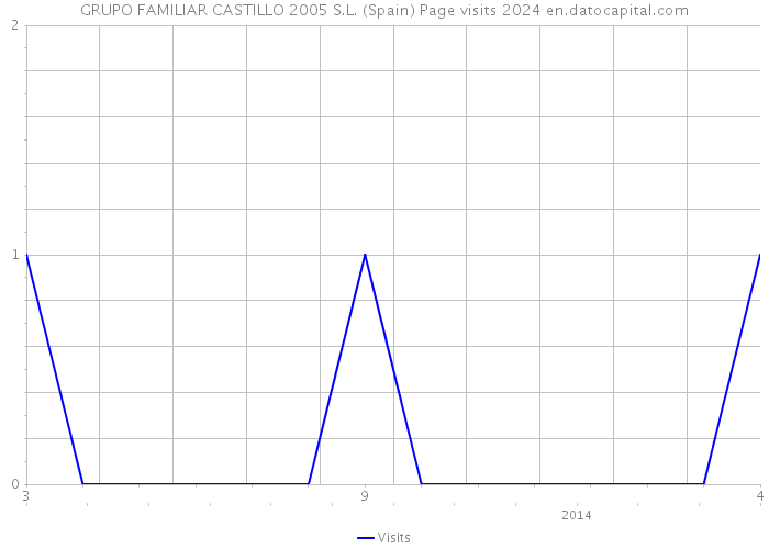 GRUPO FAMILIAR CASTILLO 2005 S.L. (Spain) Page visits 2024 