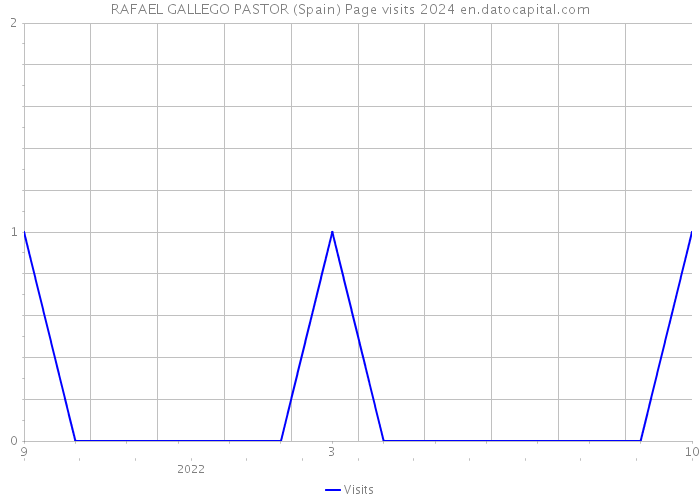 RAFAEL GALLEGO PASTOR (Spain) Page visits 2024 