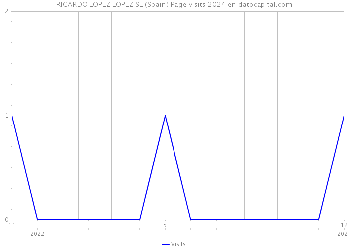 RICARDO LOPEZ LOPEZ SL (Spain) Page visits 2024 