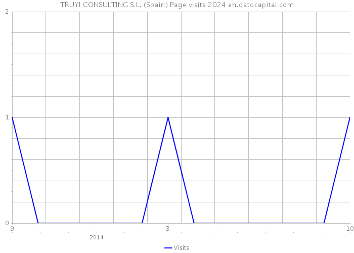 TRUYI CONSULTING S.L. (Spain) Page visits 2024 