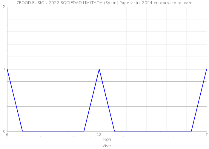 ZFOOD FUSION 2022 SOCIEDAD LIMITADA (Spain) Page visits 2024 