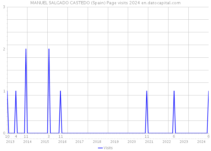MANUEL SALGADO CASTEDO (Spain) Page visits 2024 