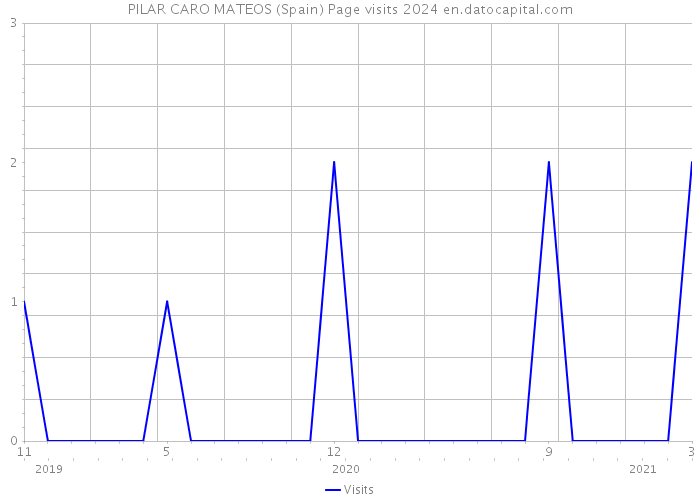 PILAR CARO MATEOS (Spain) Page visits 2024 