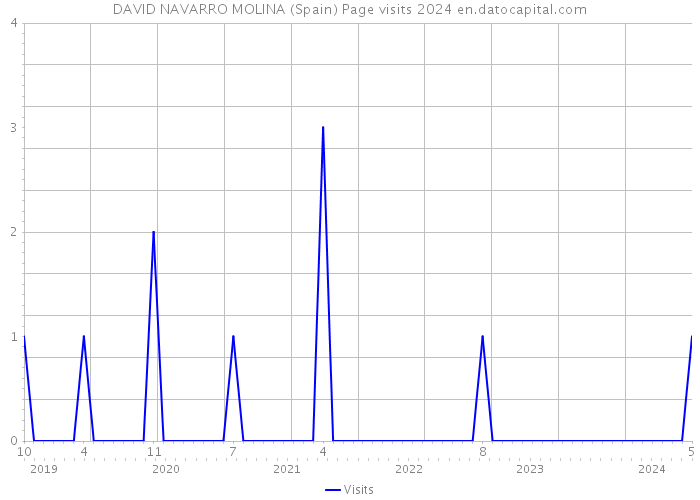 DAVID NAVARRO MOLINA (Spain) Page visits 2024 