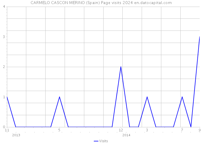 CARMELO CASCON MERINO (Spain) Page visits 2024 