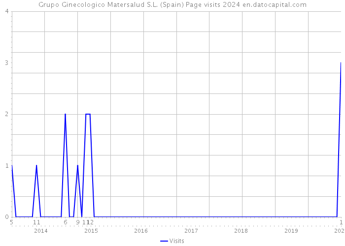 Grupo Ginecologico Matersalud S.L. (Spain) Page visits 2024 