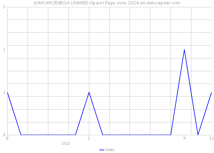 JUAN ARCENEGUI LINARES (Spain) Page visits 2024 
