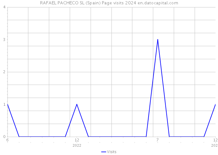 RAFAEL PACHECO SL (Spain) Page visits 2024 
