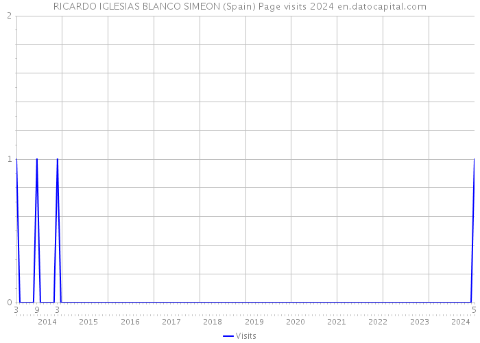 RICARDO IGLESIAS BLANCO SIMEON (Spain) Page visits 2024 