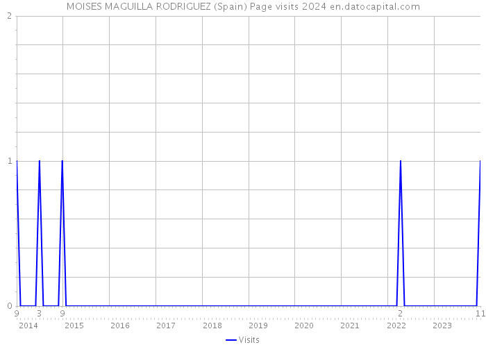 MOISES MAGUILLA RODRIGUEZ (Spain) Page visits 2024 