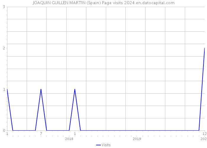 JOAQUIN GUILLEN MARTIN (Spain) Page visits 2024 