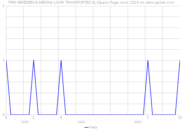 TRM HEREDEROS MEDINA LOOR TRANSPORTES SL (Spain) Page visits 2024 