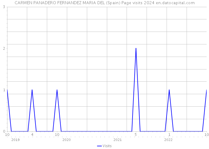 CARMEN PANADERO FERNANDEZ MARIA DEL (Spain) Page visits 2024 