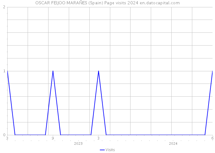 OSCAR FEIJOO MARAÑES (Spain) Page visits 2024 