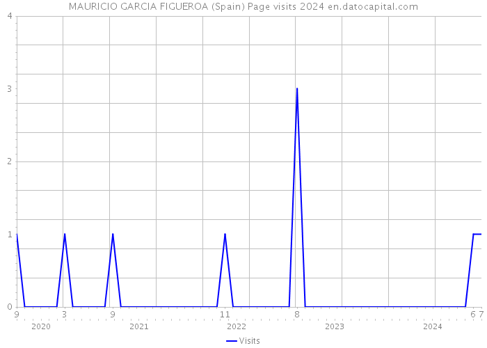 MAURICIO GARCIA FIGUEROA (Spain) Page visits 2024 