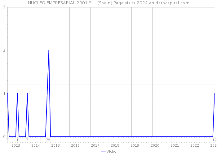NUCLEO EMPRESARIAL 2001 S.L. (Spain) Page visits 2024 