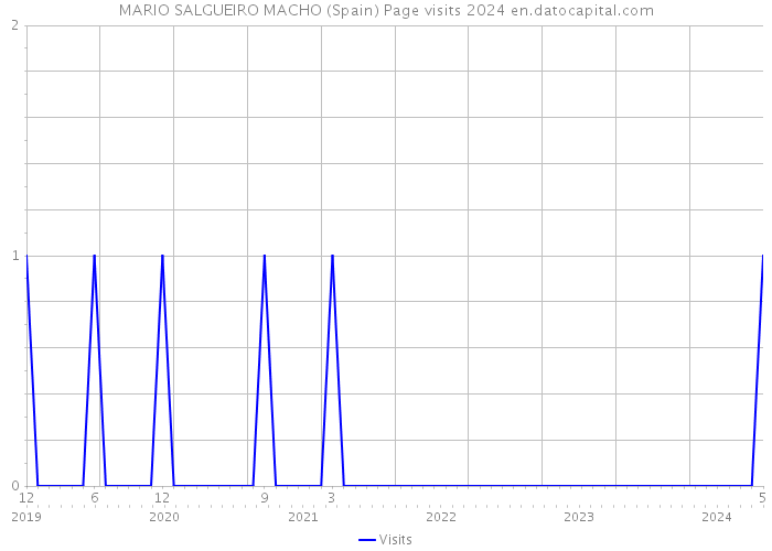 MARIO SALGUEIRO MACHO (Spain) Page visits 2024 