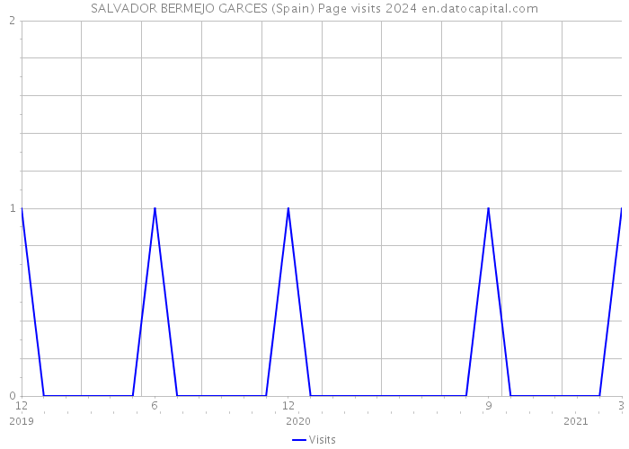 SALVADOR BERMEJO GARCES (Spain) Page visits 2024 