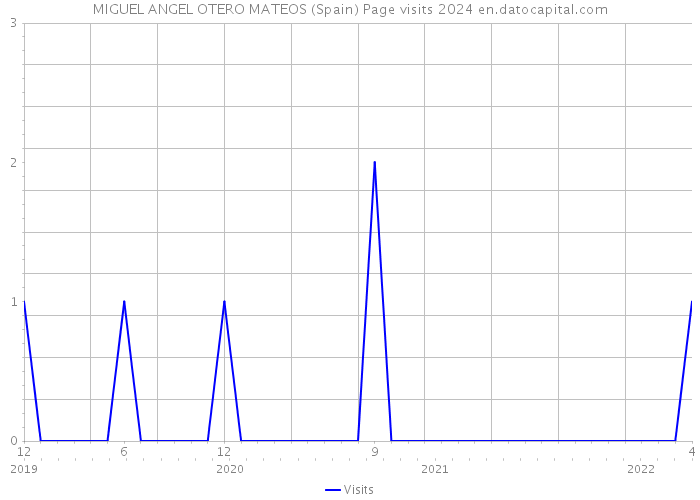 MIGUEL ANGEL OTERO MATEOS (Spain) Page visits 2024 