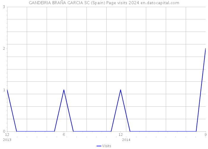GANDEIRIA BRAÑA GARCIA SC (Spain) Page visits 2024 