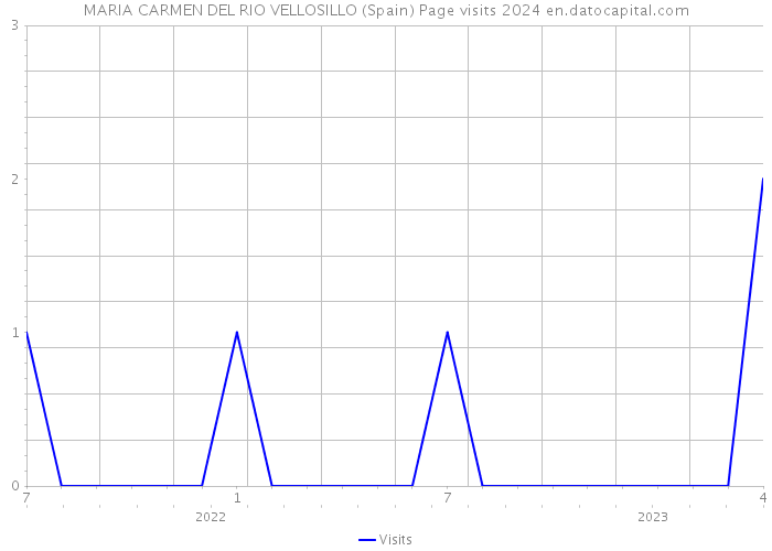 MARIA CARMEN DEL RIO VELLOSILLO (Spain) Page visits 2024 