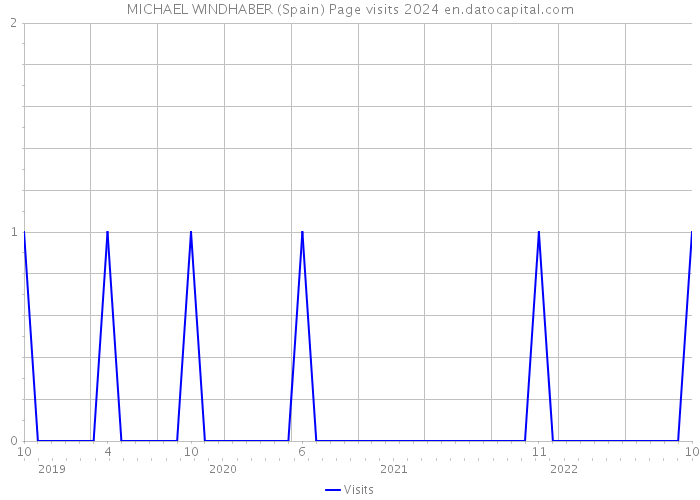 MICHAEL WINDHABER (Spain) Page visits 2024 