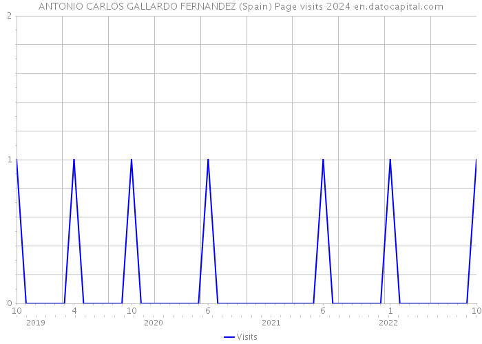 ANTONIO CARLOS GALLARDO FERNANDEZ (Spain) Page visits 2024 