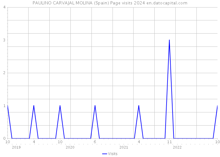 PAULINO CARVAJAL MOLINA (Spain) Page visits 2024 