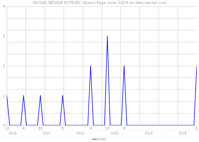 MIGUEL BEIVIDE ESTEVEZ (Spain) Page visits 2024 