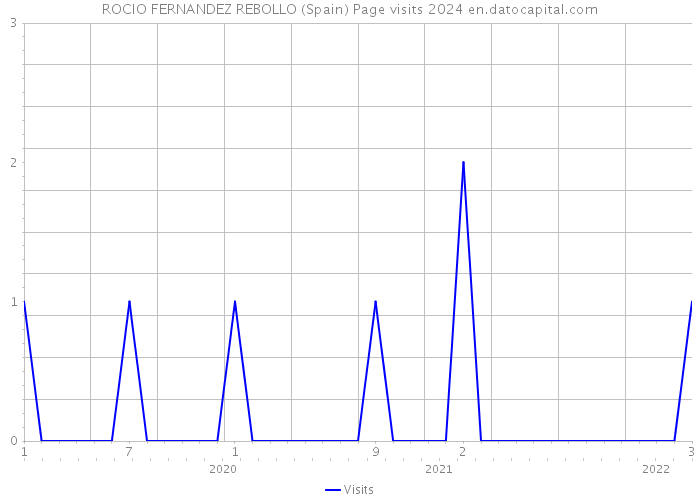 ROCIO FERNANDEZ REBOLLO (Spain) Page visits 2024 