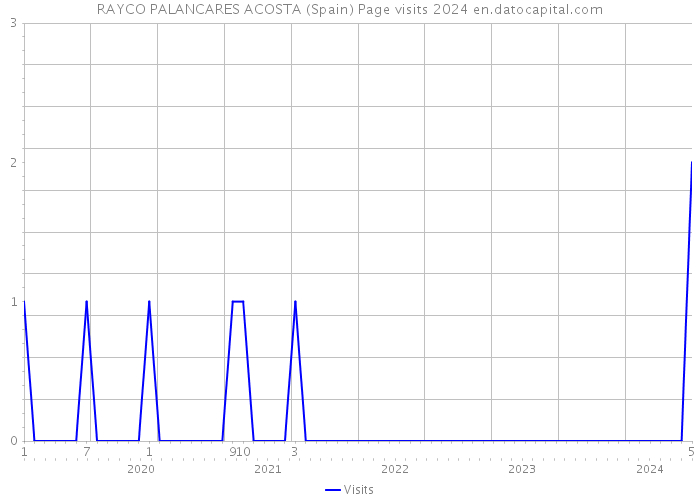 RAYCO PALANCARES ACOSTA (Spain) Page visits 2024 