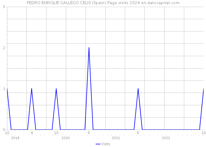 PEDRO ENRIQUE GALLEGO CELIS (Spain) Page visits 2024 