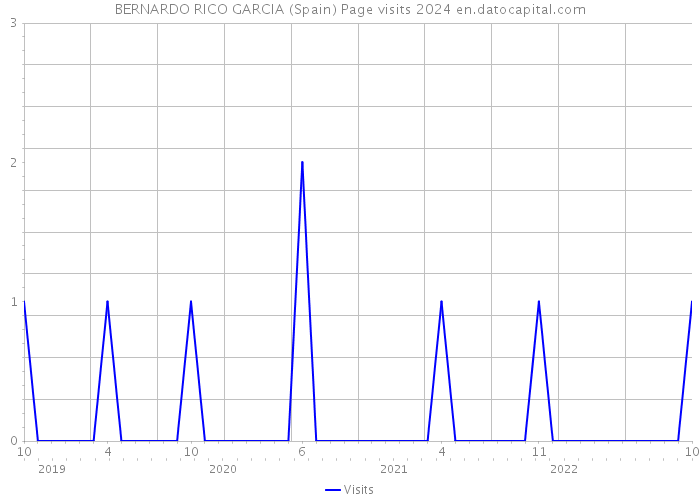 BERNARDO RICO GARCIA (Spain) Page visits 2024 