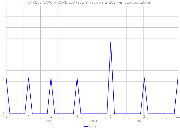 CARLOS GARCIA GORDILLO (Spain) Page visits 2024 