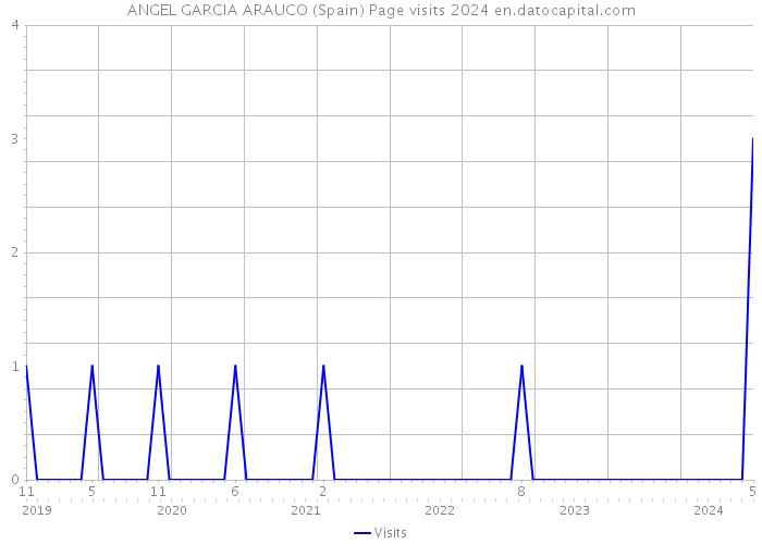 ANGEL GARCIA ARAUCO (Spain) Page visits 2024 