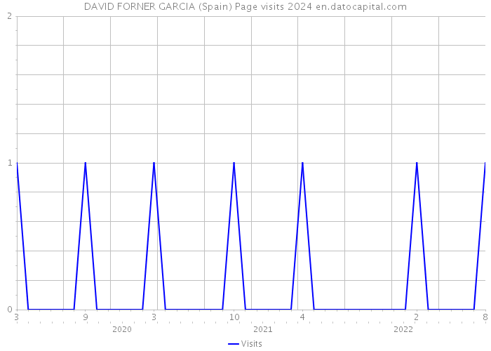 DAVID FORNER GARCIA (Spain) Page visits 2024 
