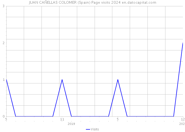 JUAN CAÑELLAS COLOMER (Spain) Page visits 2024 