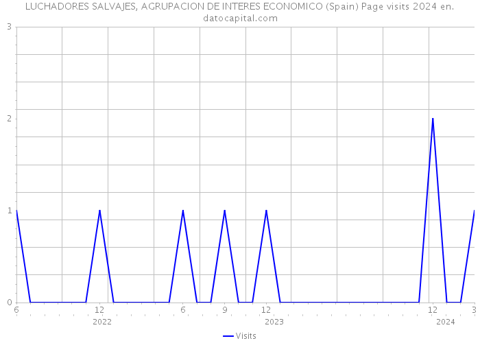 LUCHADORES SALVAJES, AGRUPACION DE INTERES ECONOMICO (Spain) Page visits 2024 