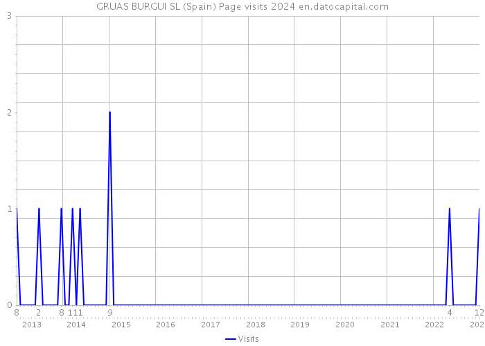 GRUAS BURGUI SL (Spain) Page visits 2024 