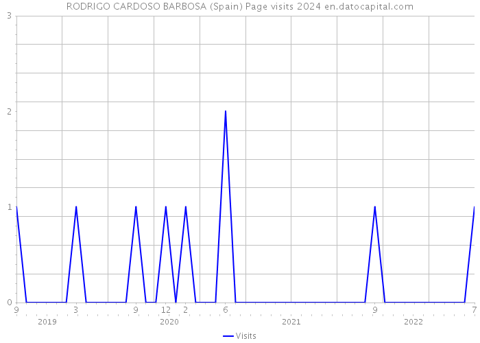 RODRIGO CARDOSO BARBOSA (Spain) Page visits 2024 