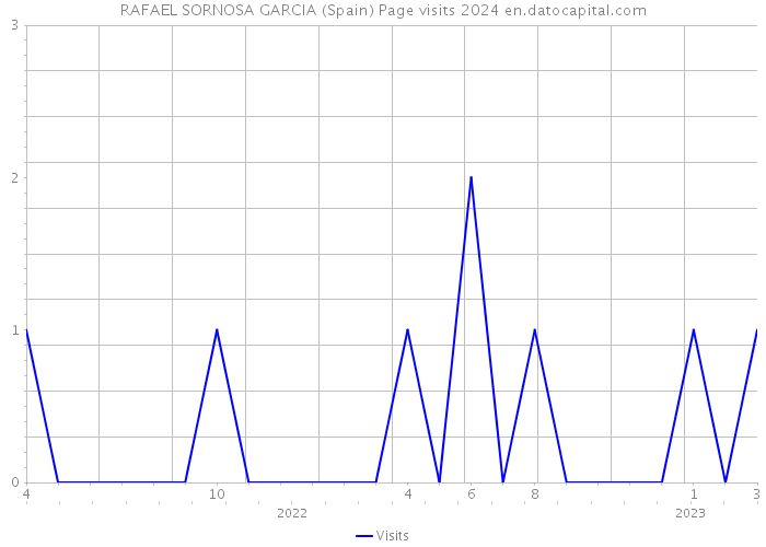 RAFAEL SORNOSA GARCIA (Spain) Page visits 2024 