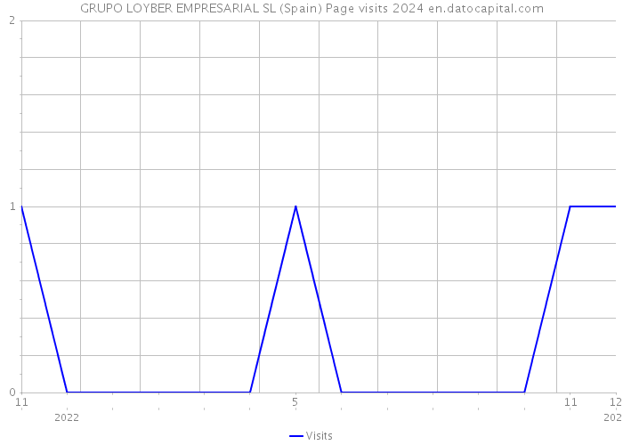 GRUPO LOYBER EMPRESARIAL SL (Spain) Page visits 2024 