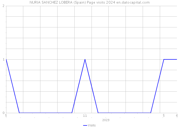 NURIA SANCHEZ LOBERA (Spain) Page visits 2024 