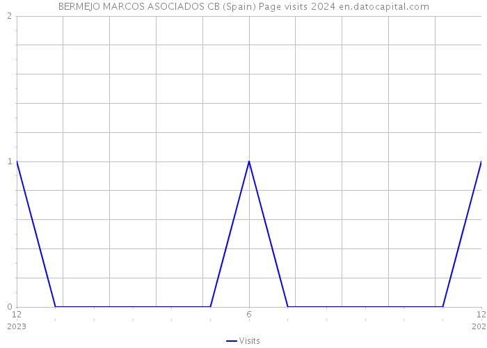 BERMEJO MARCOS ASOCIADOS CB (Spain) Page visits 2024 