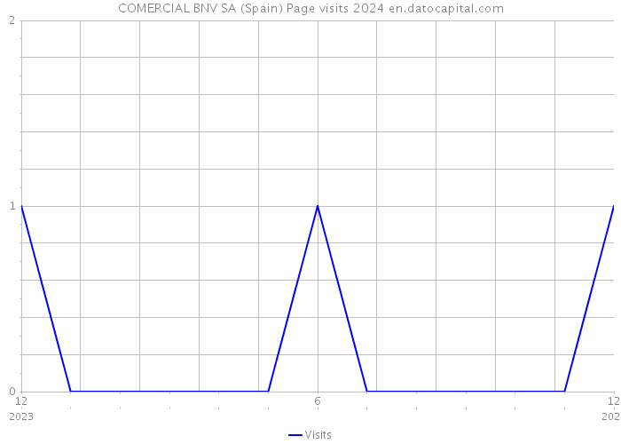 COMERCIAL BNV SA (Spain) Page visits 2024 
