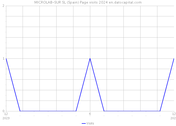 MICROLAB-SUR SL (Spain) Page visits 2024 